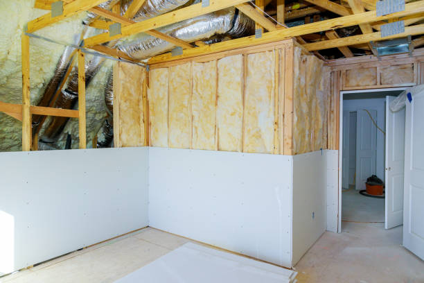 Best Local Insulation Services  in Webb City, MO
