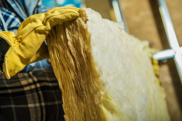 Best Blown-in Insulation  in Webb City, MO