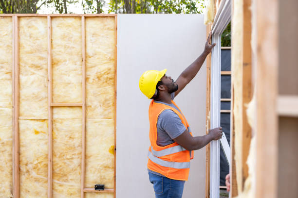 Best Commercial Insulation Contractor  in Webb City, MO