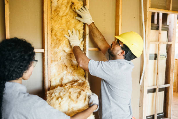 Best Insulation Removal  in Webb City, MO