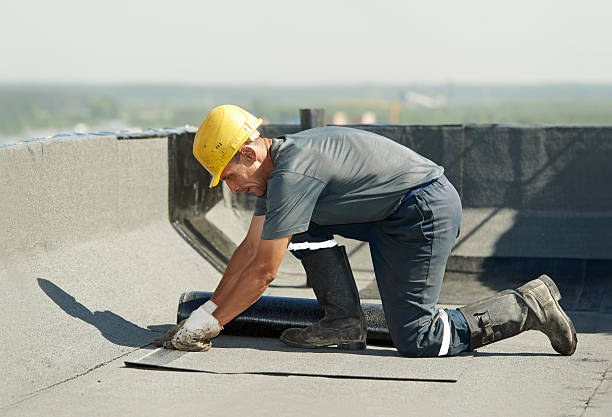 Best Insulation Inspection Services  in Webb City, MO