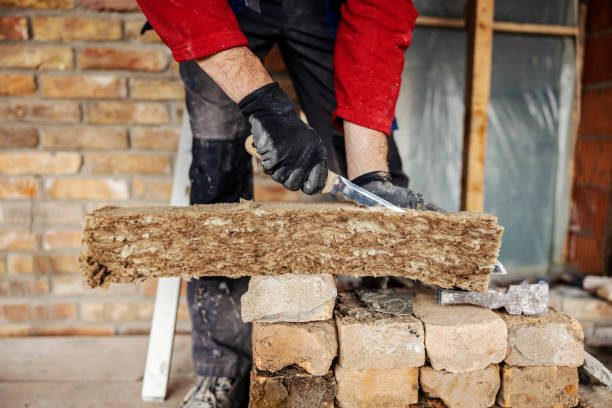 Best Insulation Installation Cost  in Webb City, MO