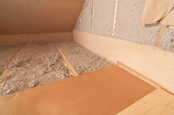 Best Home Insulation Services  in Webb City, MO