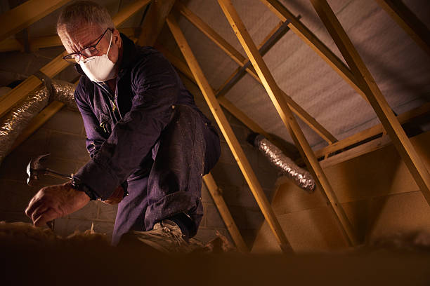 Best Energy-efficient Insulation  in Webb City, MO