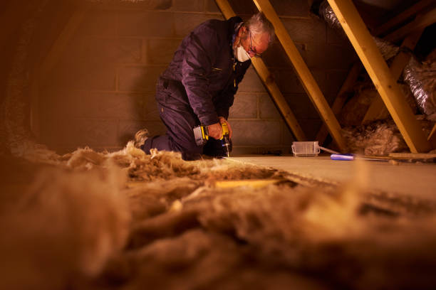 Best Cellulose Insulation  in Webb City, MO